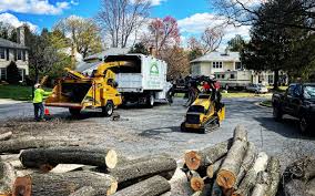 Leaf Removal in West Lafayette, IN